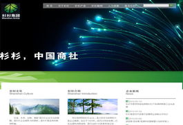 龍泉電腦綜合服務 網(wǎng)站開發(fā)、維修與數(shù)據(jù)安全保障