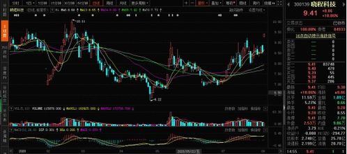 玉米高位運行 飼料行情起飛，計算機軟件板塊投資機遇顯現(xiàn)